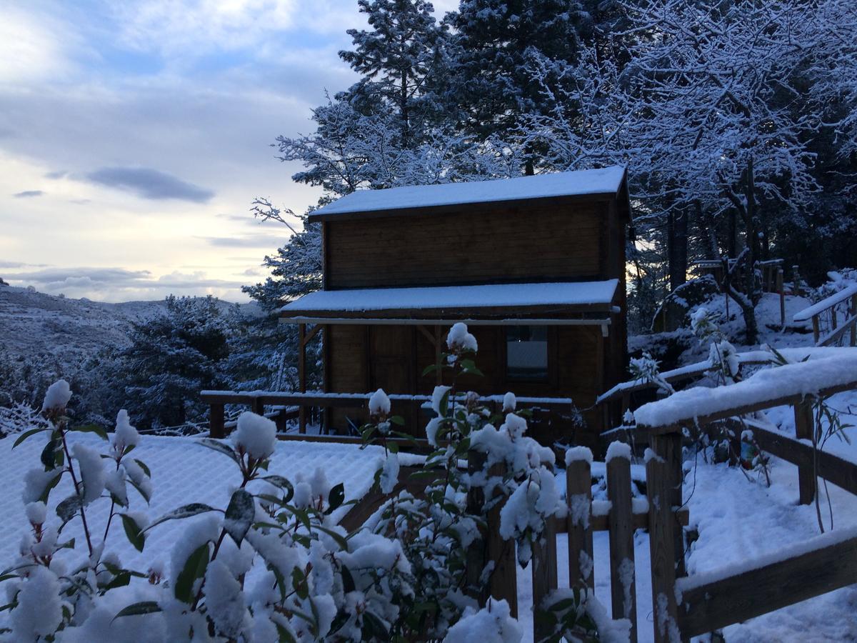 Chalet Vezzani Spa Esterno foto