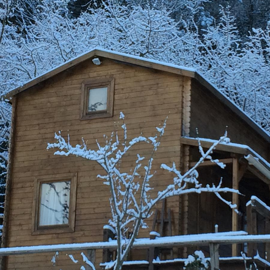Chalet Vezzani Spa Esterno foto