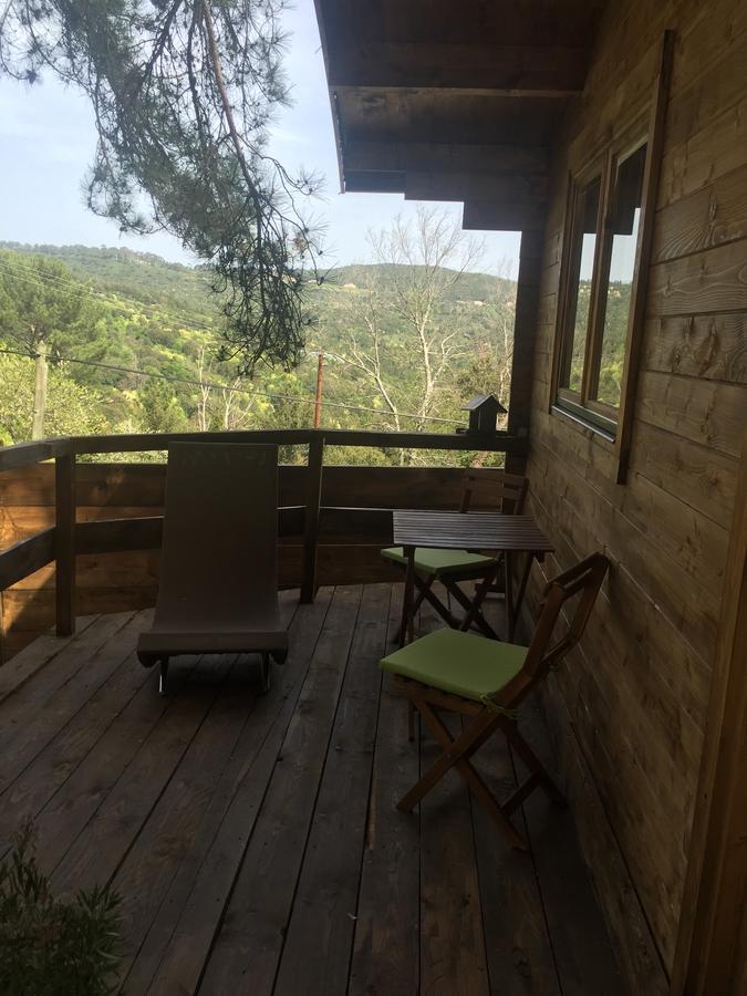 Chalet Vezzani Spa Esterno foto
