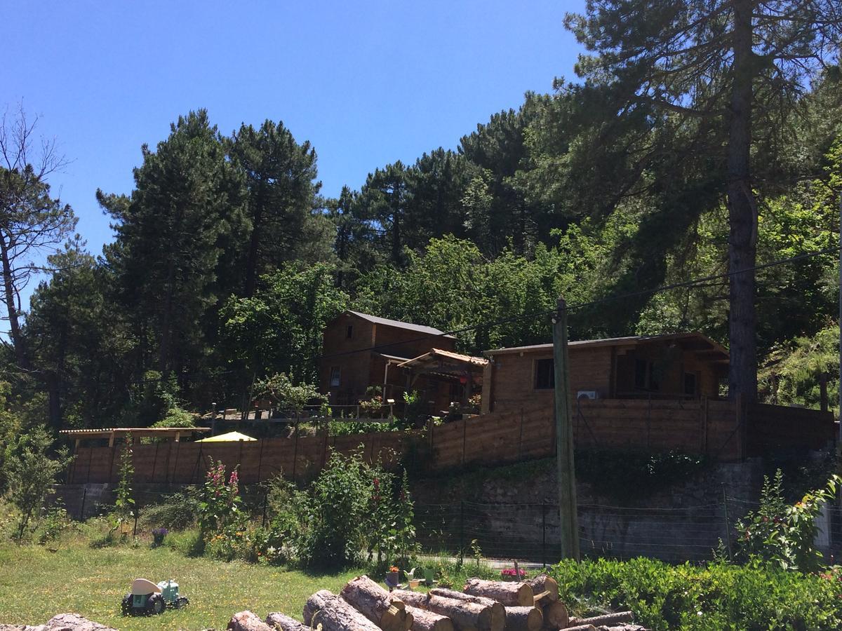 Chalet Vezzani Spa Esterno foto